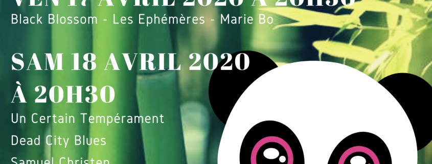 20200417_bambou-festival