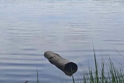 Lire la vidéo 1 sur 5, fenêtre modale