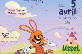 Agrandir l'image, fenêtre modale