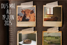 Agrandir l'image, fenêtre modale